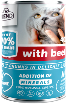 CAN CAT  CHUNKS GRAVY BEEF