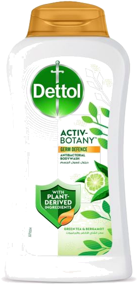 DETTOL S.G GREEN TEA&BERGAMOT 250ML 250ML