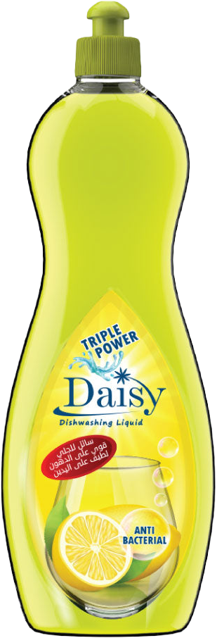 DISHY CLASSIC 1.5L