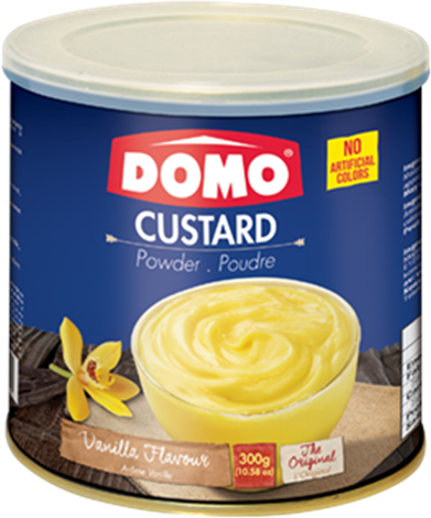 DOMO CUSTARD VANILLA 300G