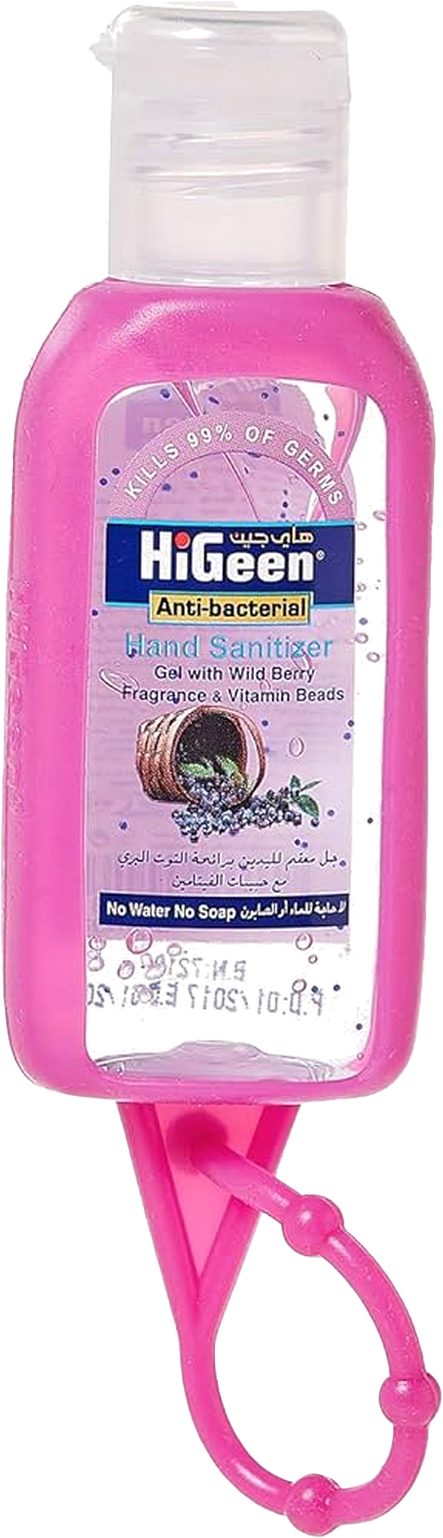 HIGEEN HAND GEL WILD BERRY