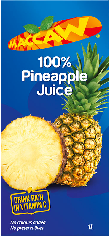 MACCAW PINEAPPLE CARTOON