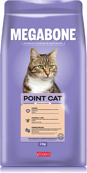 MEGABONE POINT CAT