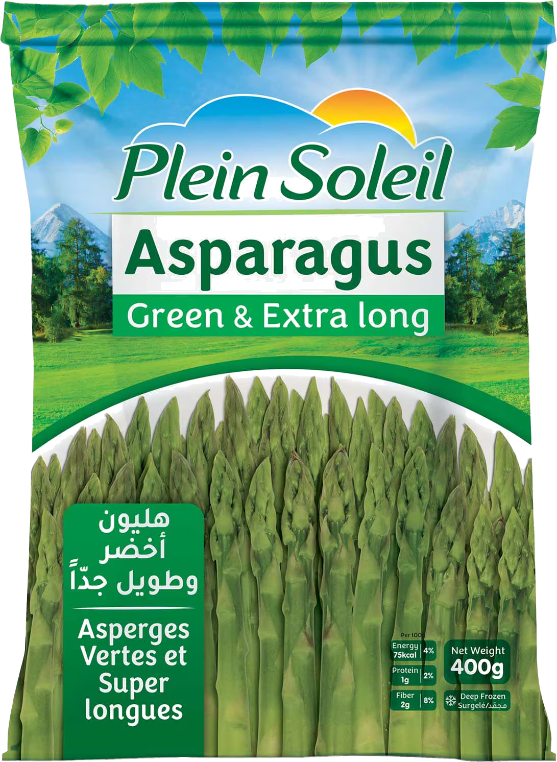 PLEIN SOLEIL ASPERGES VERTS