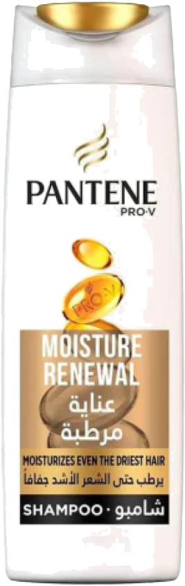 PNT SH MOISTURE 600ML 600ML