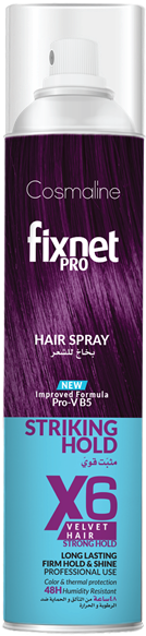 SPRAY FIX NET STRONG HOLD