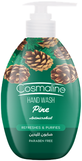 SW HAND WASH PINE